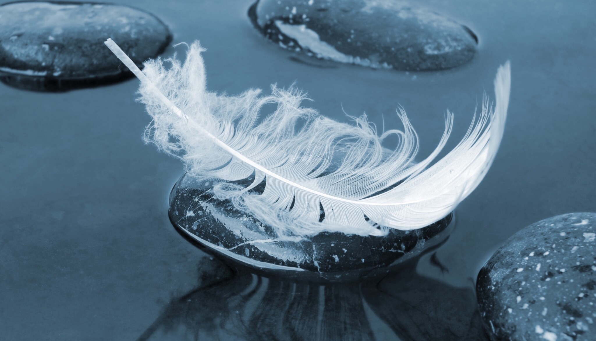 Mind & Spirit - Spirit of Change Magazine
