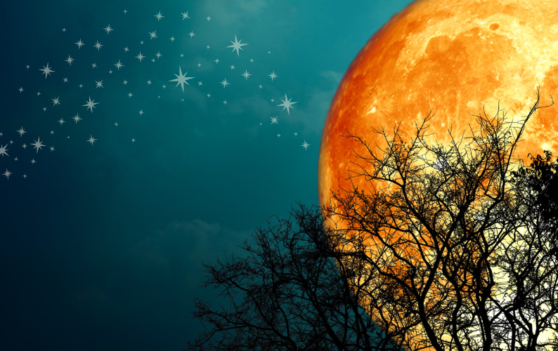 Fall2024astrologyforecast