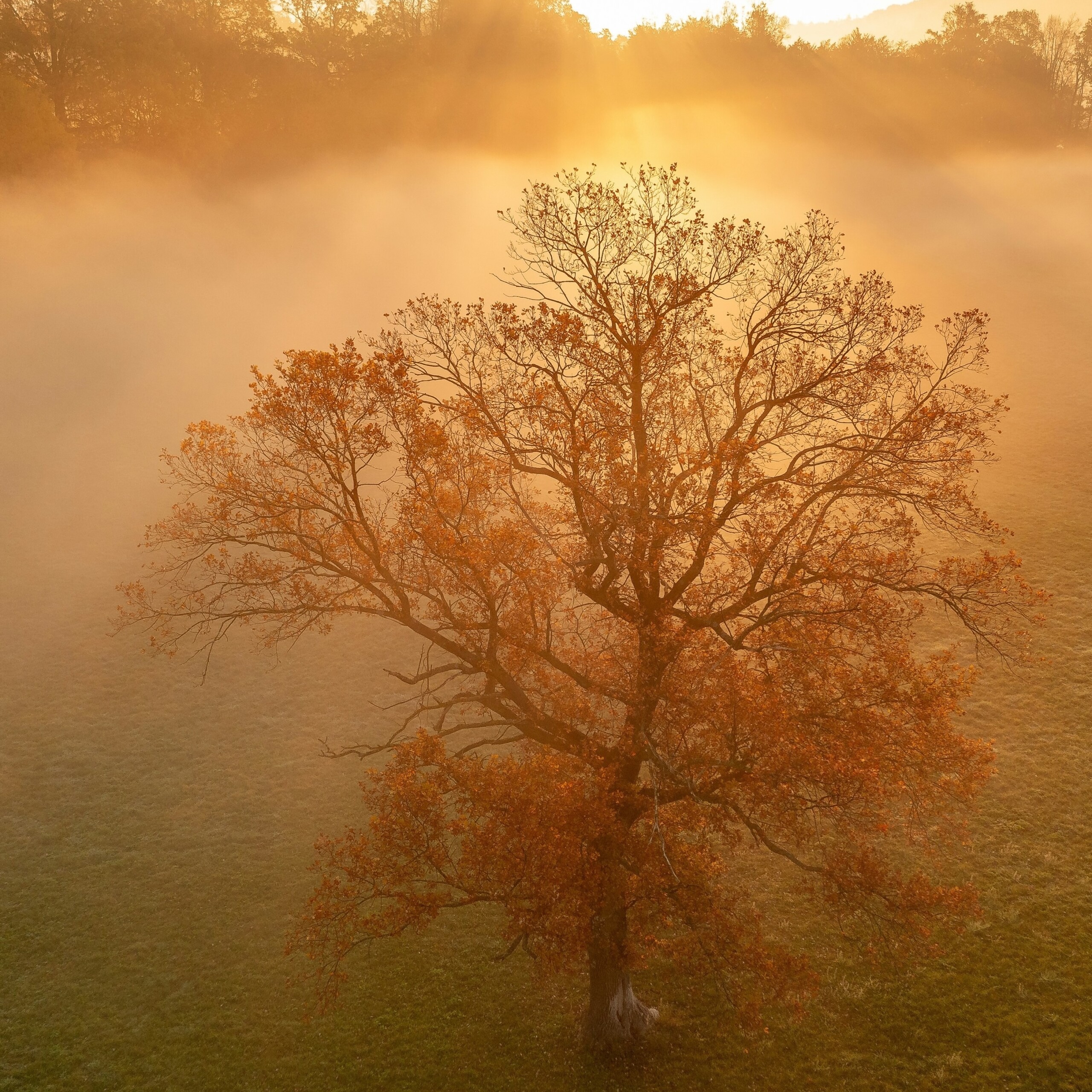 An Integrated Approach To Natural Healing