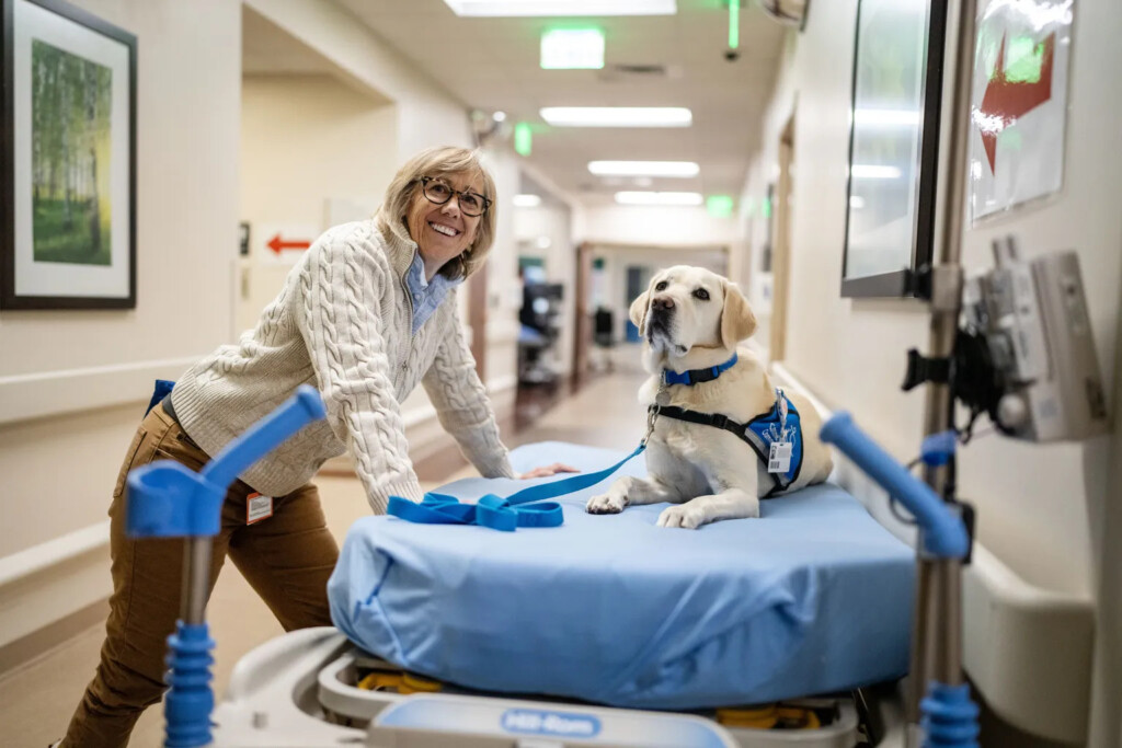 Hospitaldogs 03