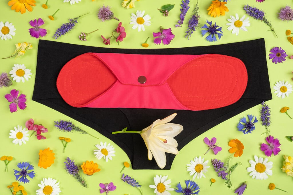 Panties And Bamboo Charcoal Washable Sanitary Napkins On Green Background With Natural Wild Flowers. Health Care And Zero Waste, No Plastic, Eco Friendly Concept. Top View Flat Lay