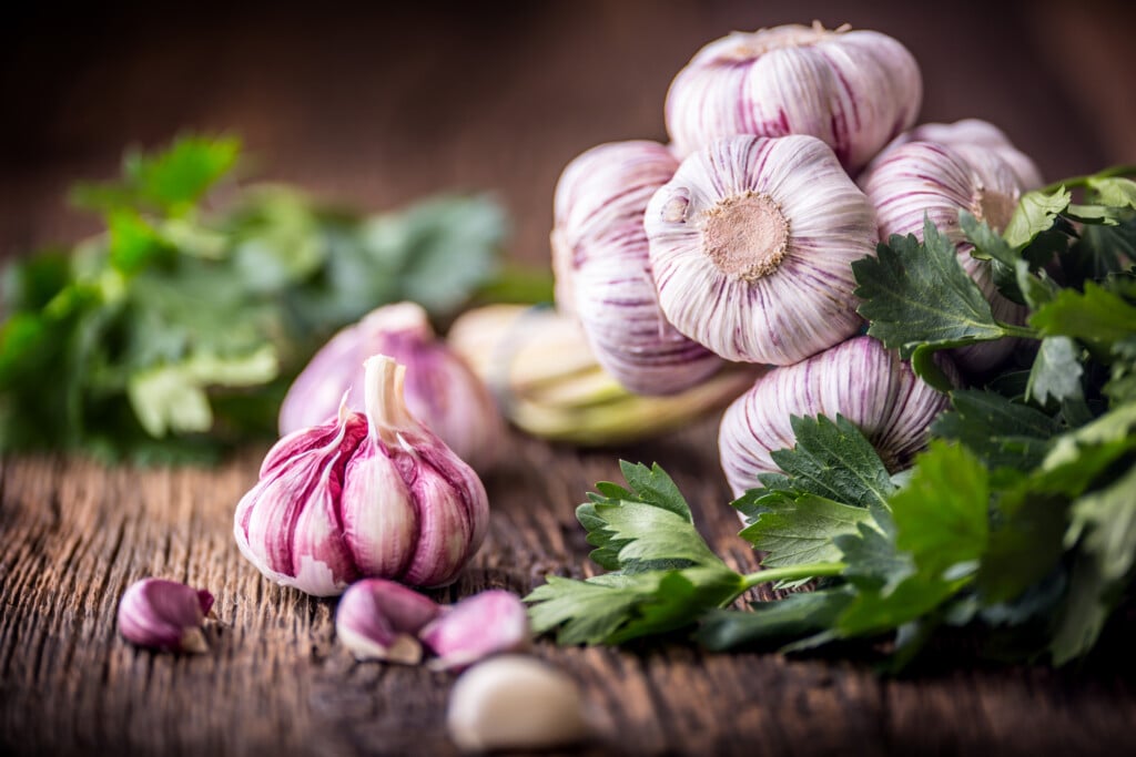 Garlic. Fresh Garlic Bulbs On Old Wooden Board. Red Violet Garlic
