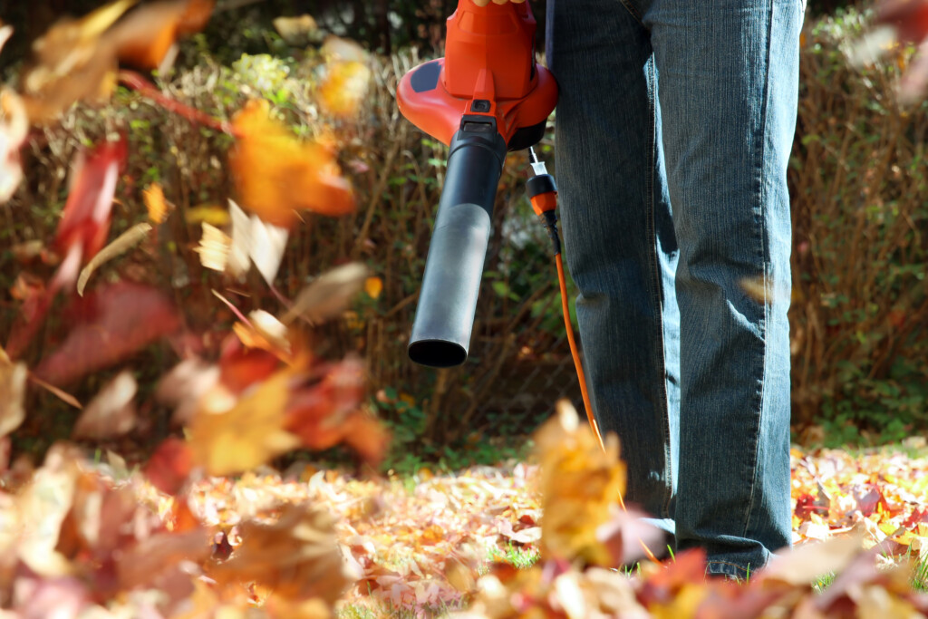 Man Working With Leaf Blower: The Leaves Are Being Swirled Up A