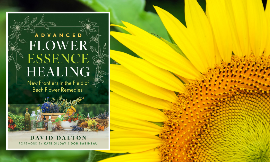 Release Date For Advanced Flower Essence Healing New Frontiers In The Field Of Bach Flower Remedies