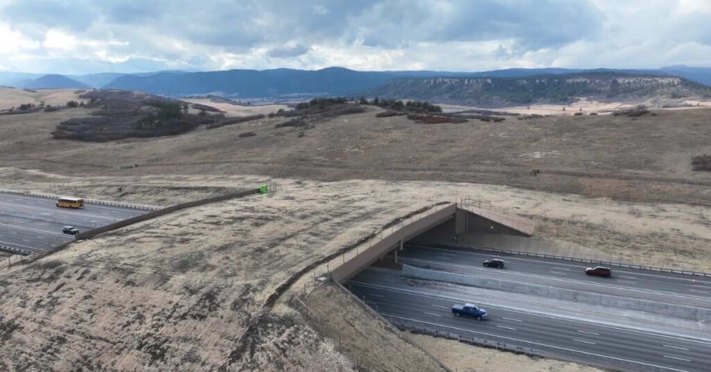 Wildlife Overpass Colorado