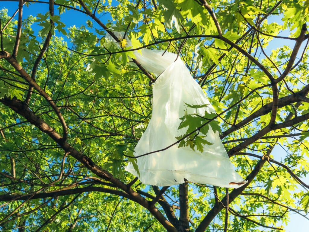 Plasticbagbanreversals