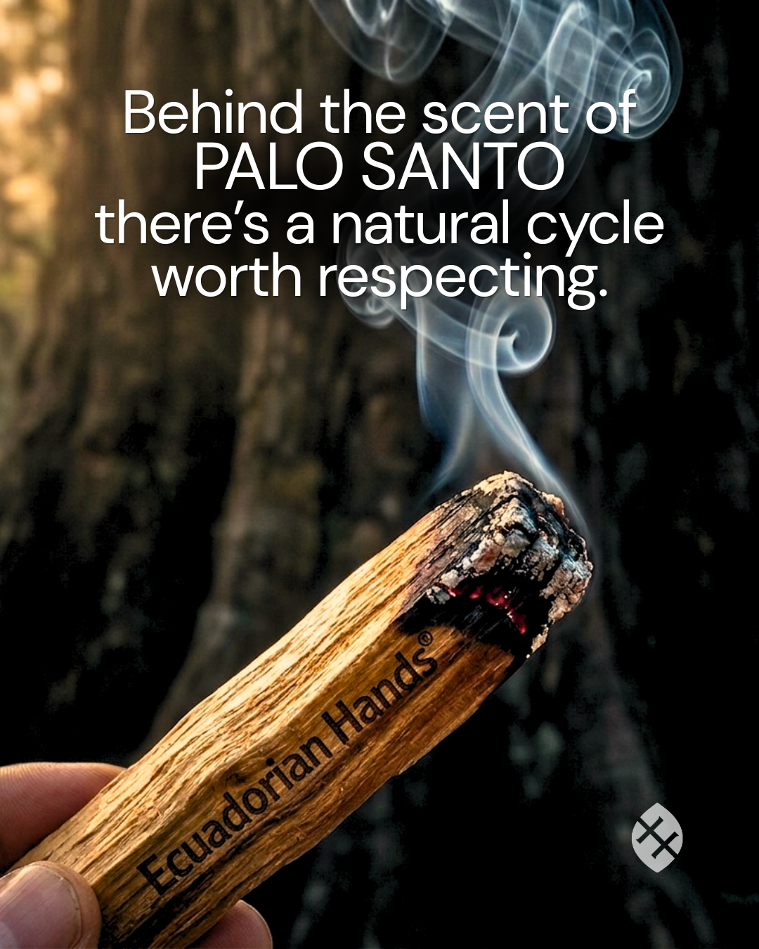 EcuadorianHands PaloSanto