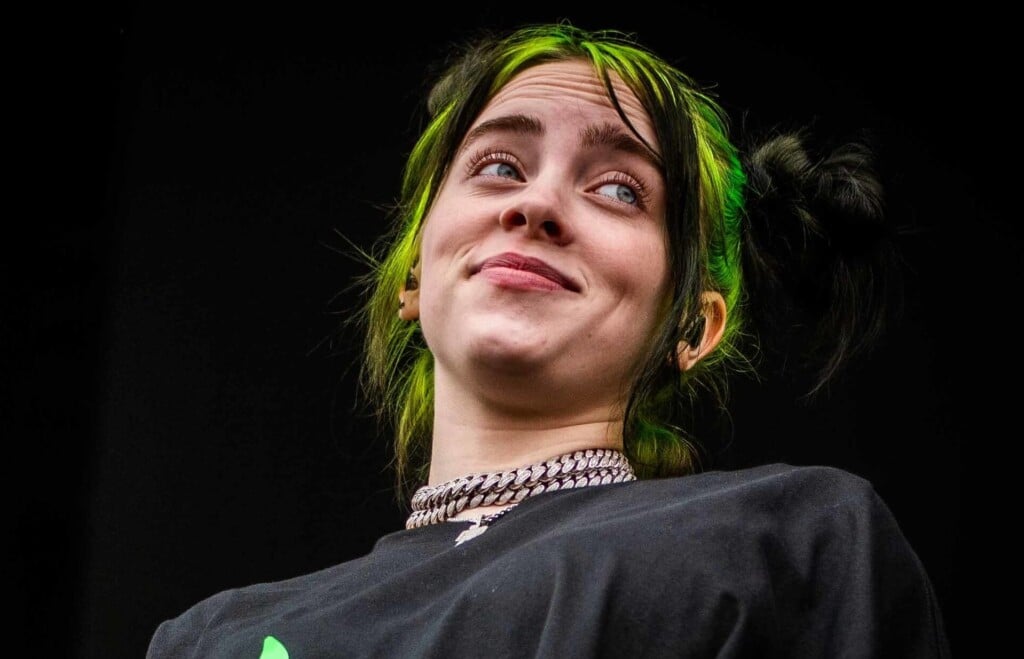 Billie Eilish Pukkelpop 2019 48590585552