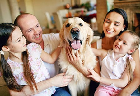 Dog Family 30225517 M