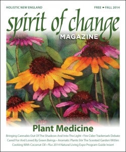 Spiritofchangefall2014cover