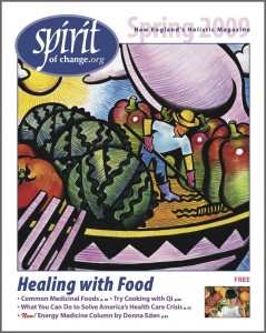 Spring2009cover
