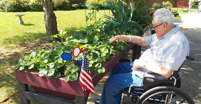 Wheelchair Gardening