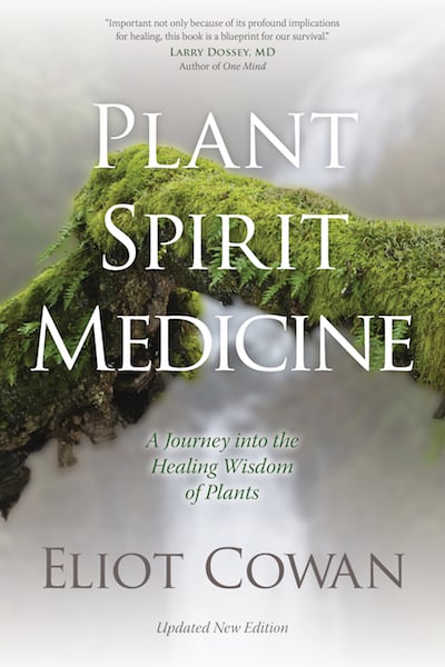 reviews of one spirit medicine