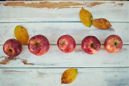 Apples Twinsfisch 9 5z24t0dfa Unsplash
