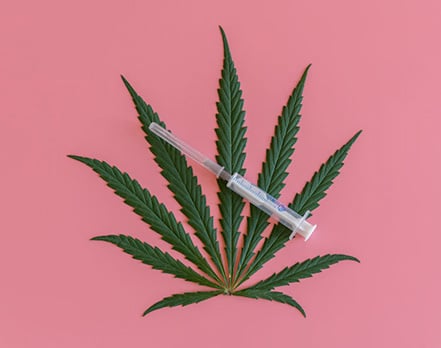 Marijuana Cannabis Syringe 105449413 S