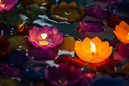 Lotus Candle 69561969 S