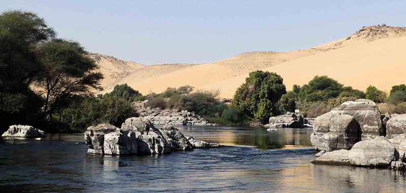 River And Tree Forest In Desert Public Domain Via Pxfuel