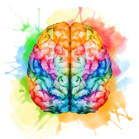 Brain 41907601 S 450