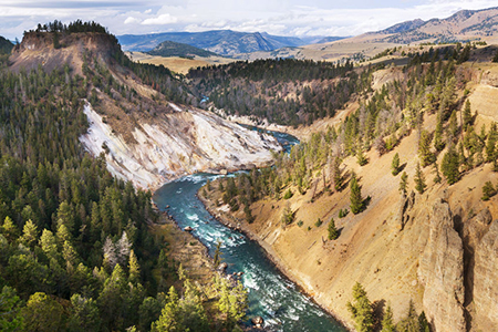 Yellowstone 33341246 S