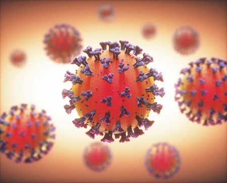 Covid 19 Corona Virus 141126512 S