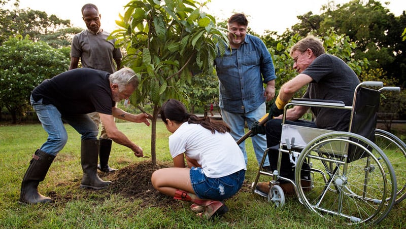Tree Planting 79316888 S
