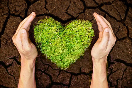 Earth Heart Hands 26265775 S