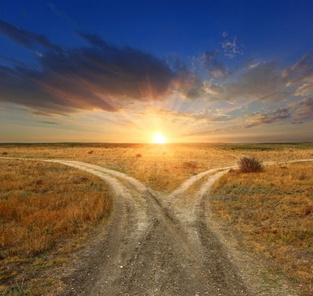 Fork In The Road Sunset 26777486 S