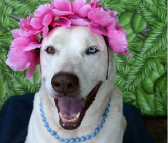 Persephone
