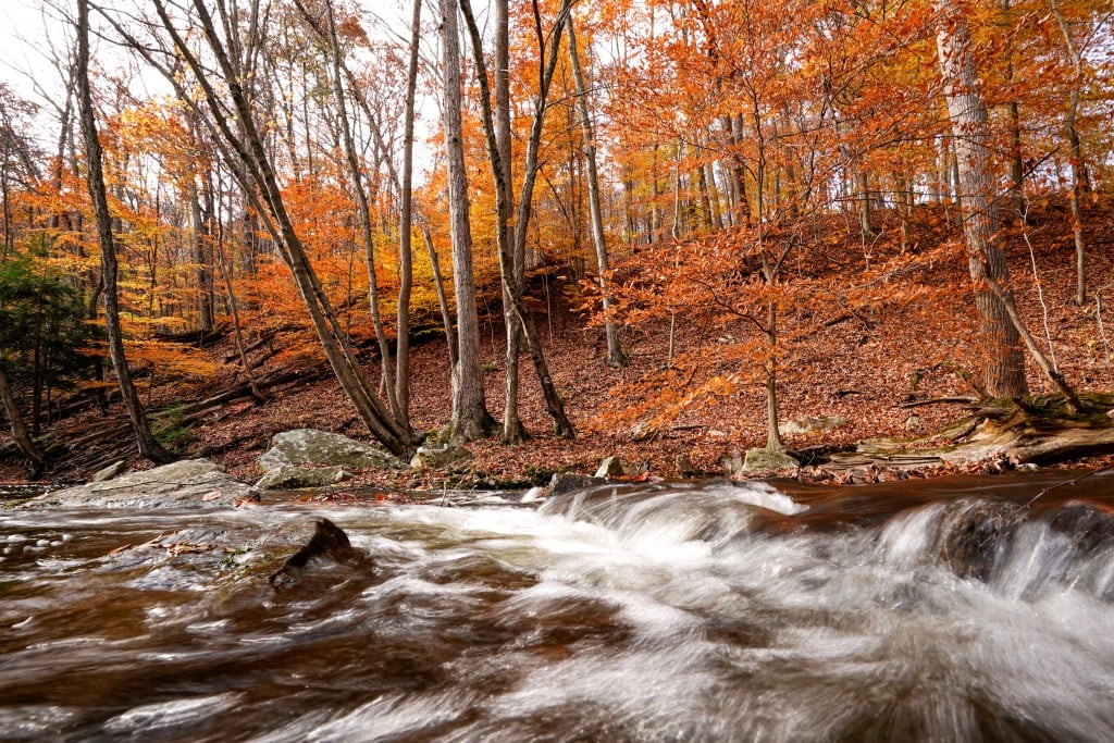 Catoctin Mountain Park