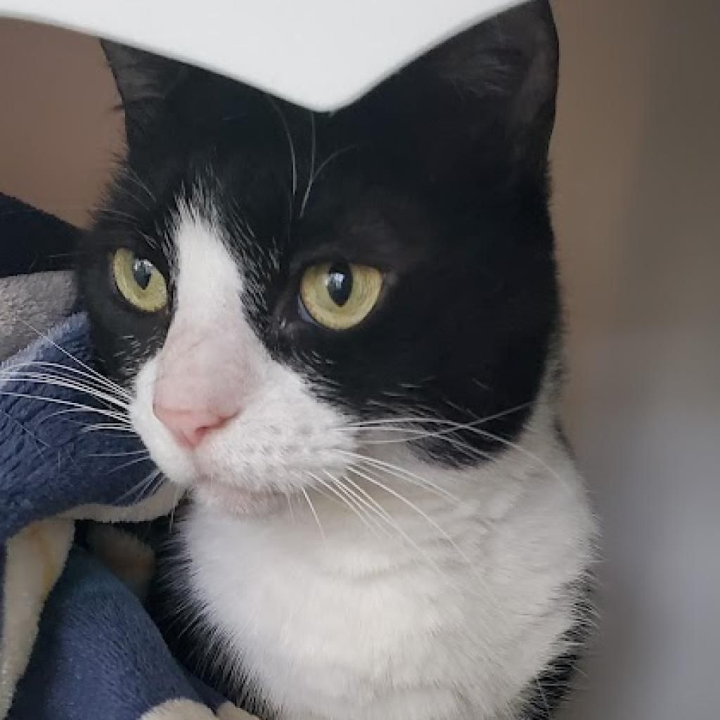 local-looks-sunny-92-3-wdef-fm