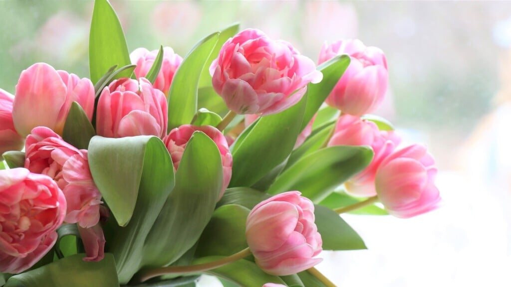 March