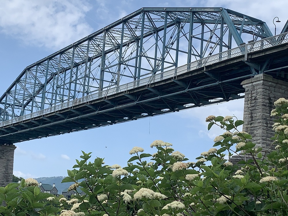 Picbridgeflowerslocal2