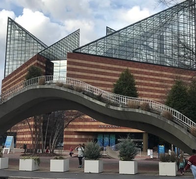 Picofaquarium