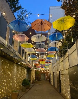 Picumbrellasatnight