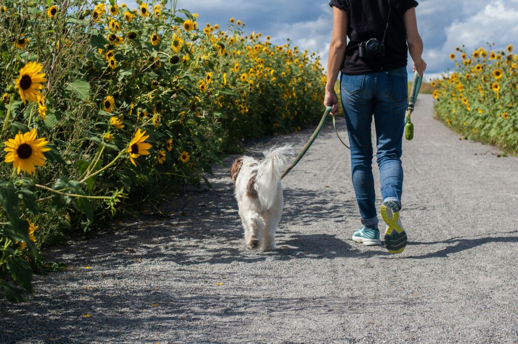 Delphine Beausoleil Byfmfcbqpny Unsplash