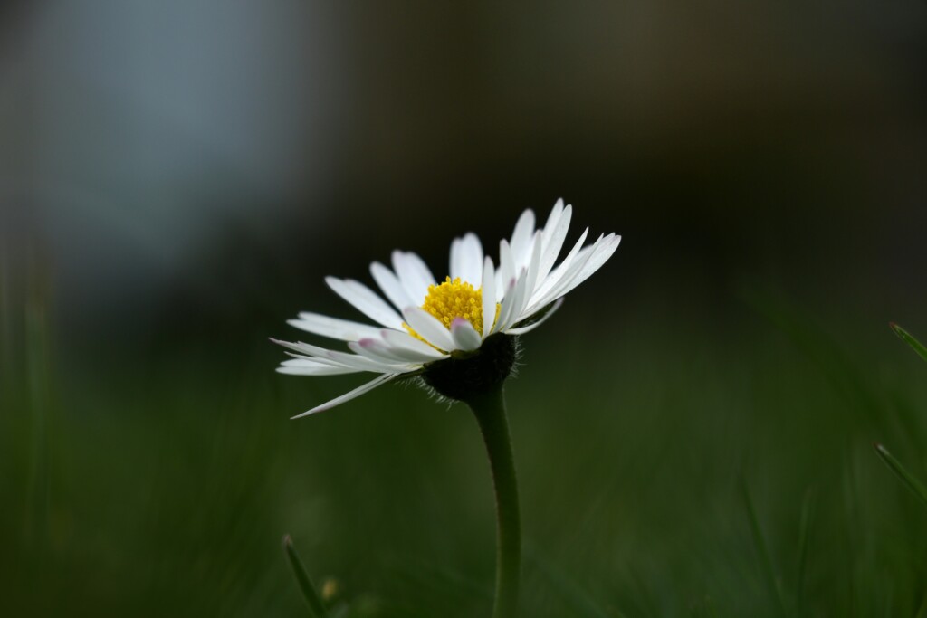 Pierre Bamin Fdb10iddezw Unsplash
