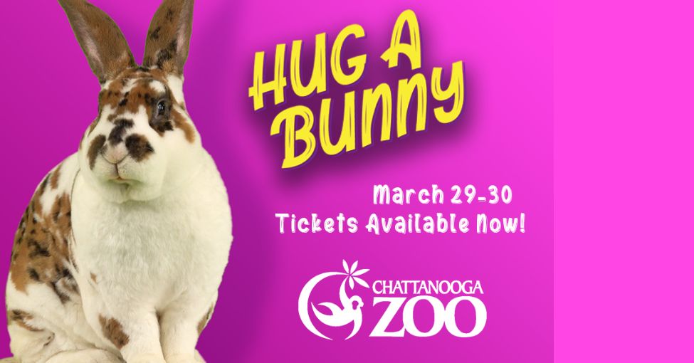 Hug A Bunny Radio