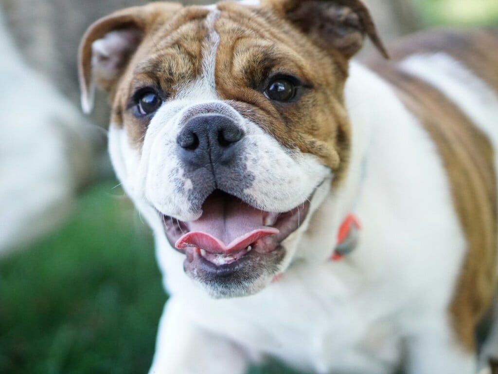 Matt Odell Ywiuc Mqlw Unsplash