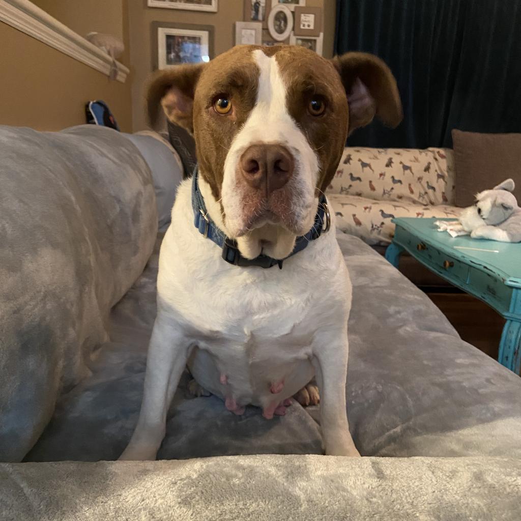 Daisy 1