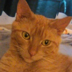 Winking Wilamena 2