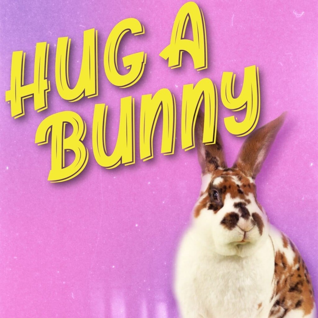 Hug A Bunny 1080x1080