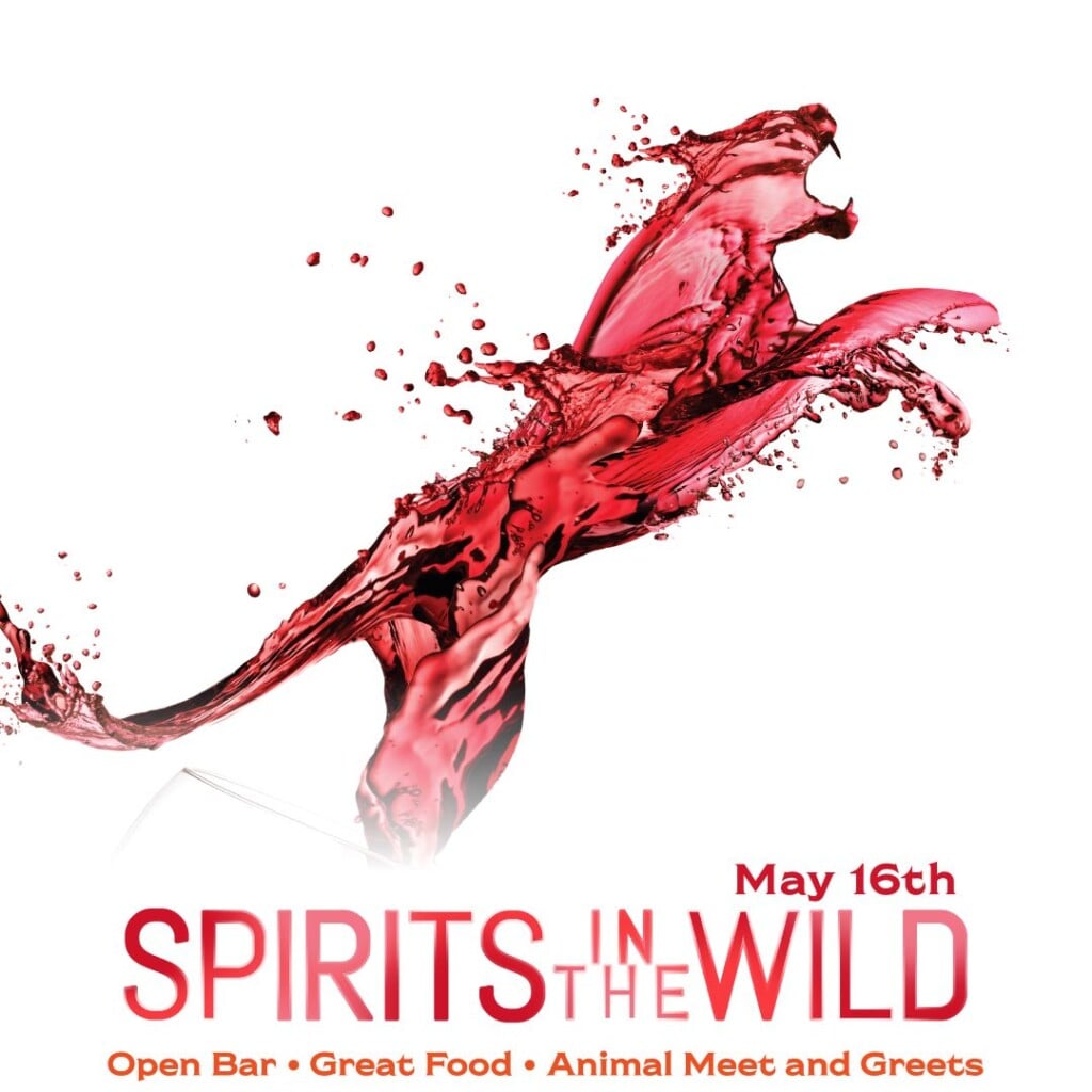 2026 Spirits In The Wild
