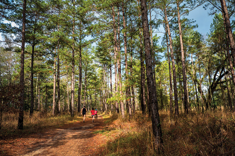 Tallahassee's Top Trails to Hike, Bike, Paddle and Trot Tallahassee