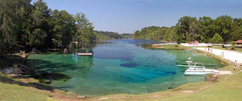 Pond by an old mill in the FL panhandle. What you throwing here? : r