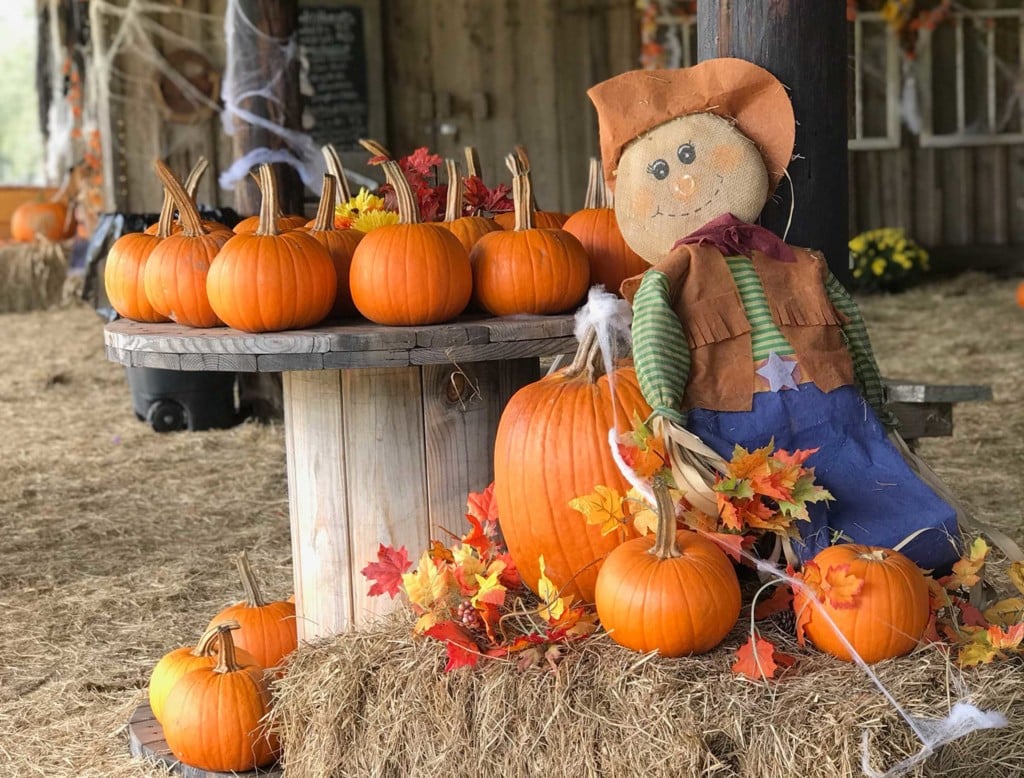 Octoberfest at Springhill Farm is A Must Visit This Fall - Tallahassee ...