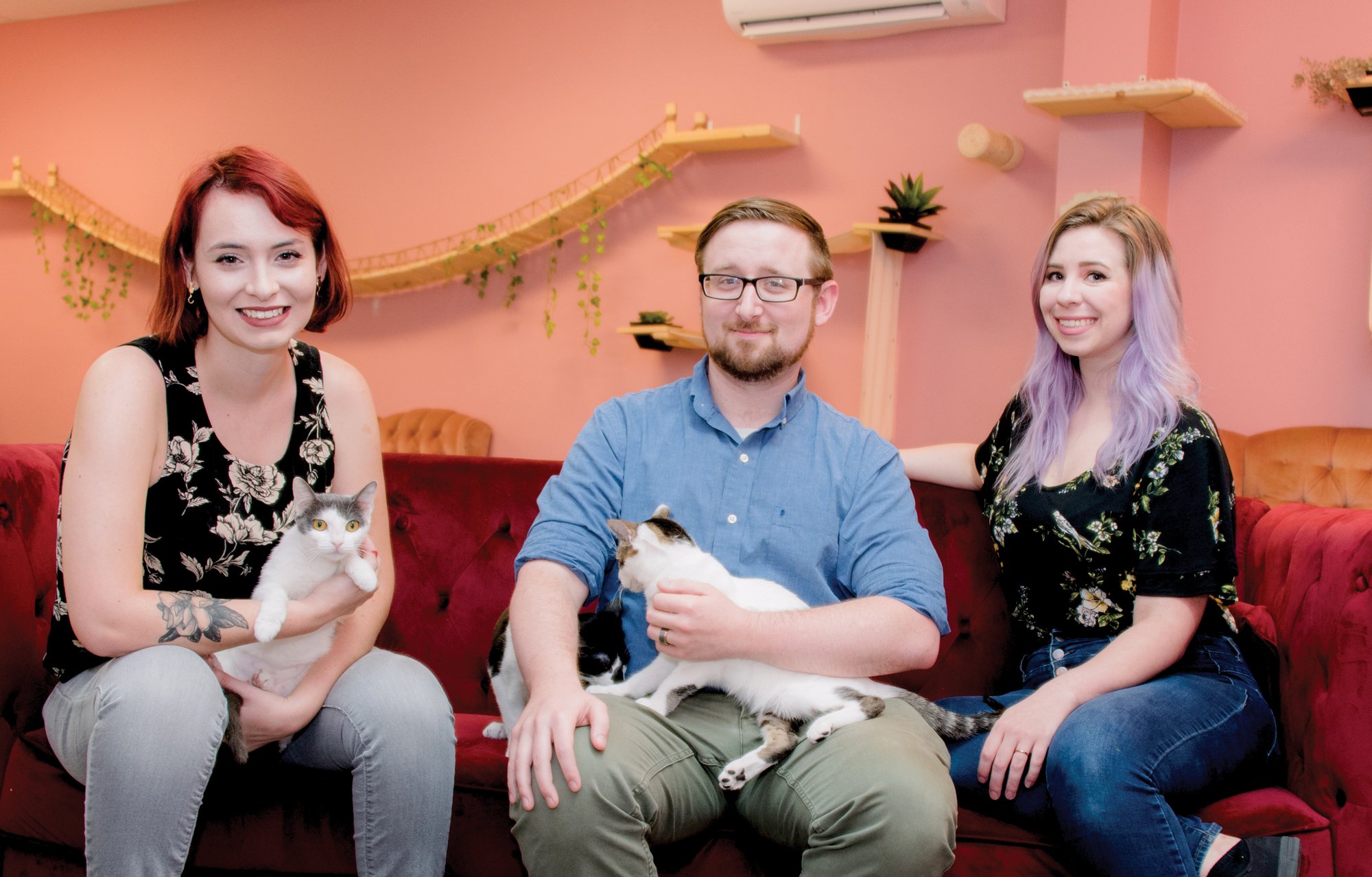  Tally  Cat  Caf  is The Purrfect Business Venture 