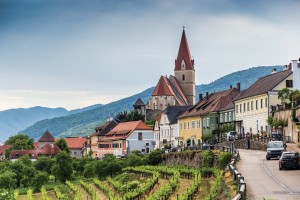 Church Of The Assumption Of The Virgin Mary (german: Wehrkirche Maria Himmelfahrt), Surrounden With Grape Fieldes. Small Town Of Weissenkirchen In Der Wachau, District Of Krems Land, Lower Austria.