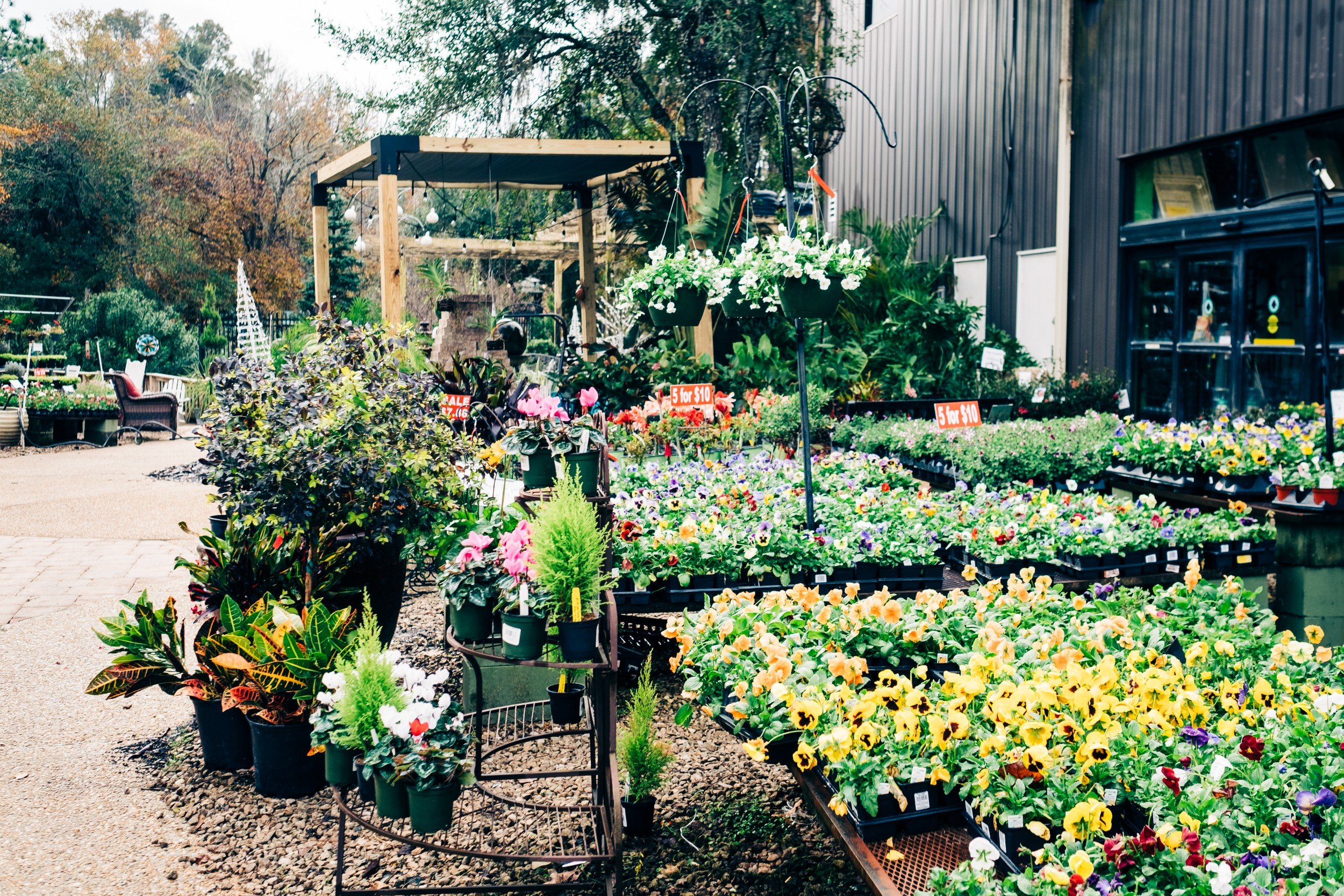 Beyond The Garden - Tallahassee Magazine