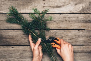 Florist Cutting Fir Branch