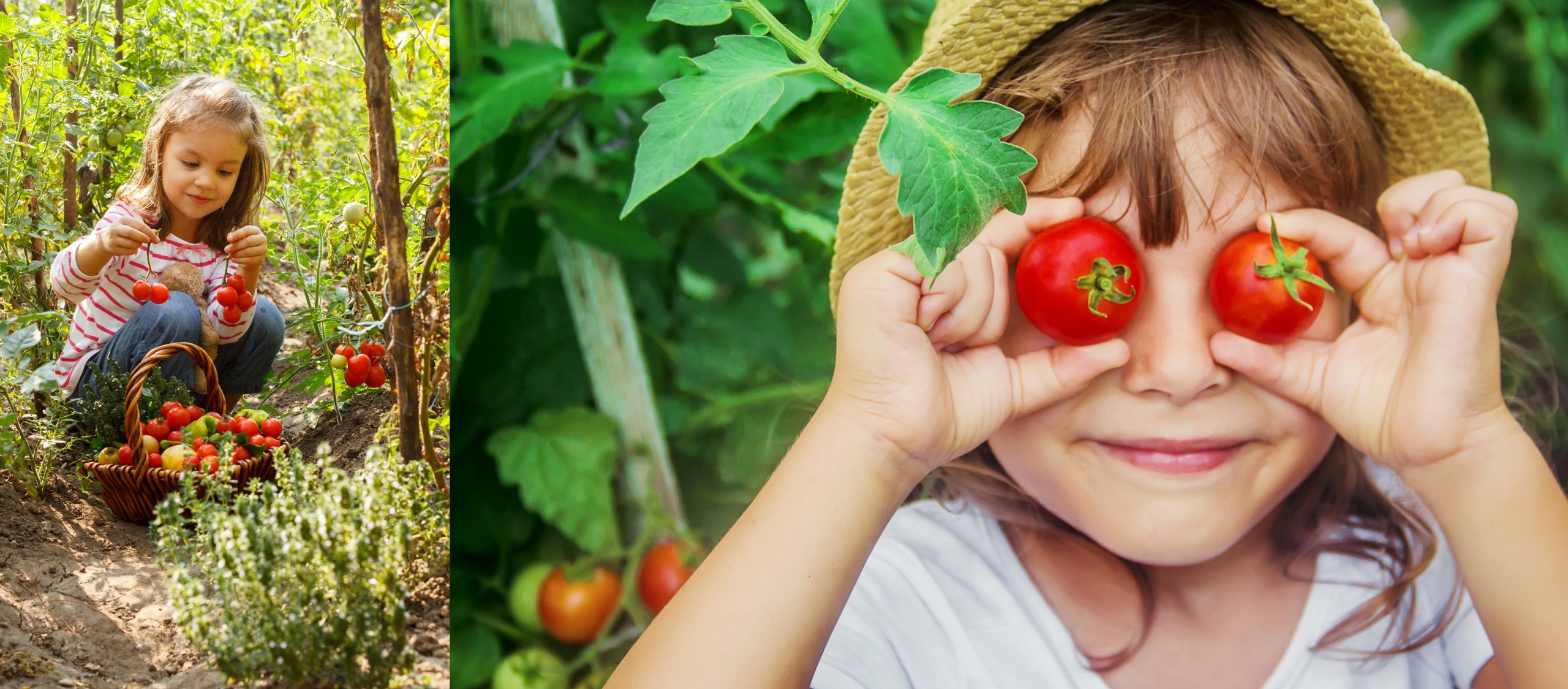 Esposito's Inspires Little Gardeners with Free Tomatoes Tallahassee